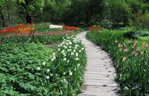 Экскурсия в Ботанический сад МГУ
